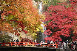 明治の森箕面国定公園（箕面大滝）