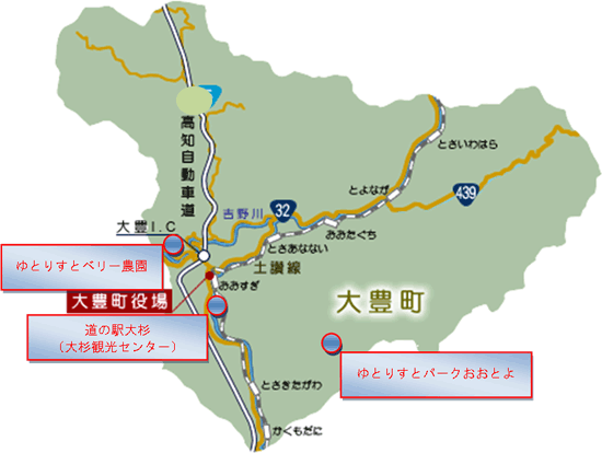 高知県長岡郡大豊町 拡大地図