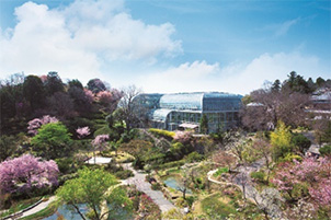 高知県立牧野植物園（高知ICから約8km）